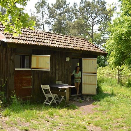 Cabane En Foret Onesse-et-Laharie Exteriér fotografie