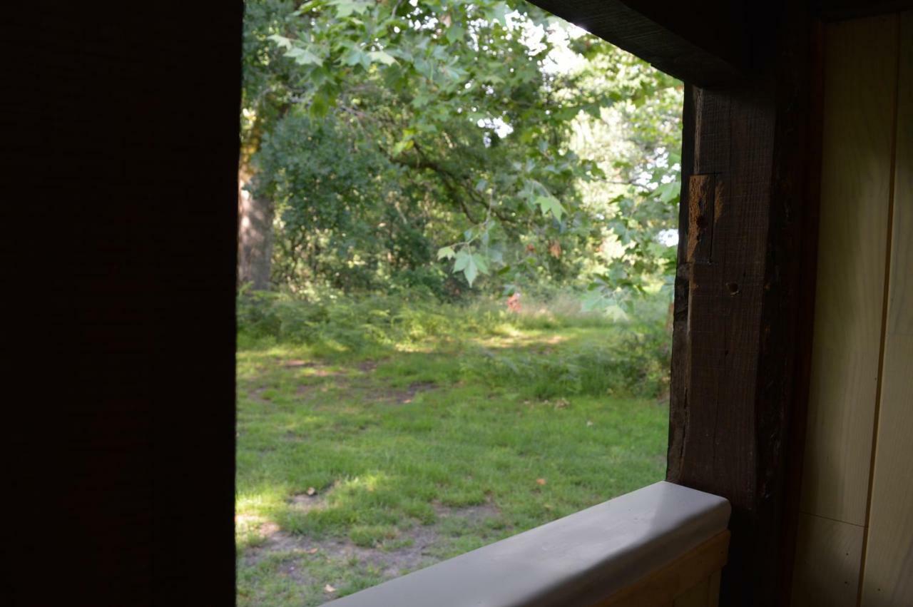 Cabane En Foret Onesse-et-Laharie Exteriér fotografie