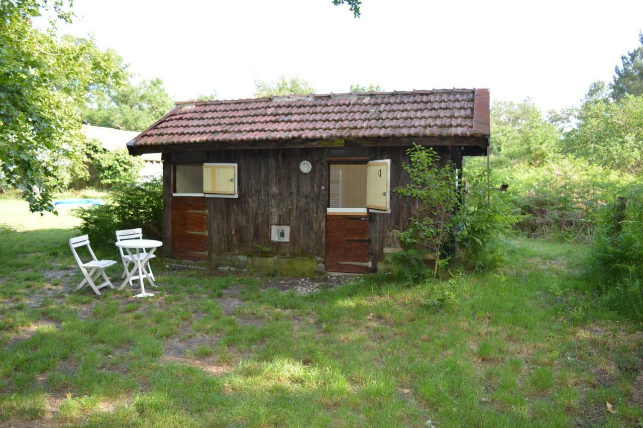 Cabane En Foret Onesse-et-Laharie Exteriér fotografie