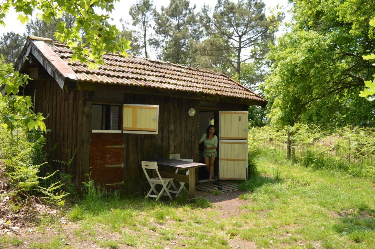 Cabane En Foret Onesse-et-Laharie Exteriér fotografie