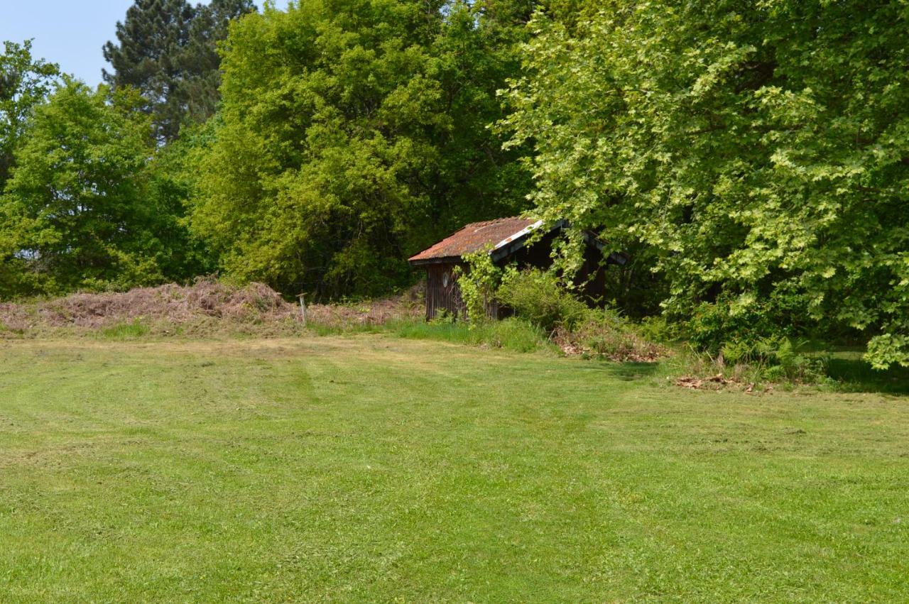Cabane En Foret Onesse-et-Laharie Exteriér fotografie