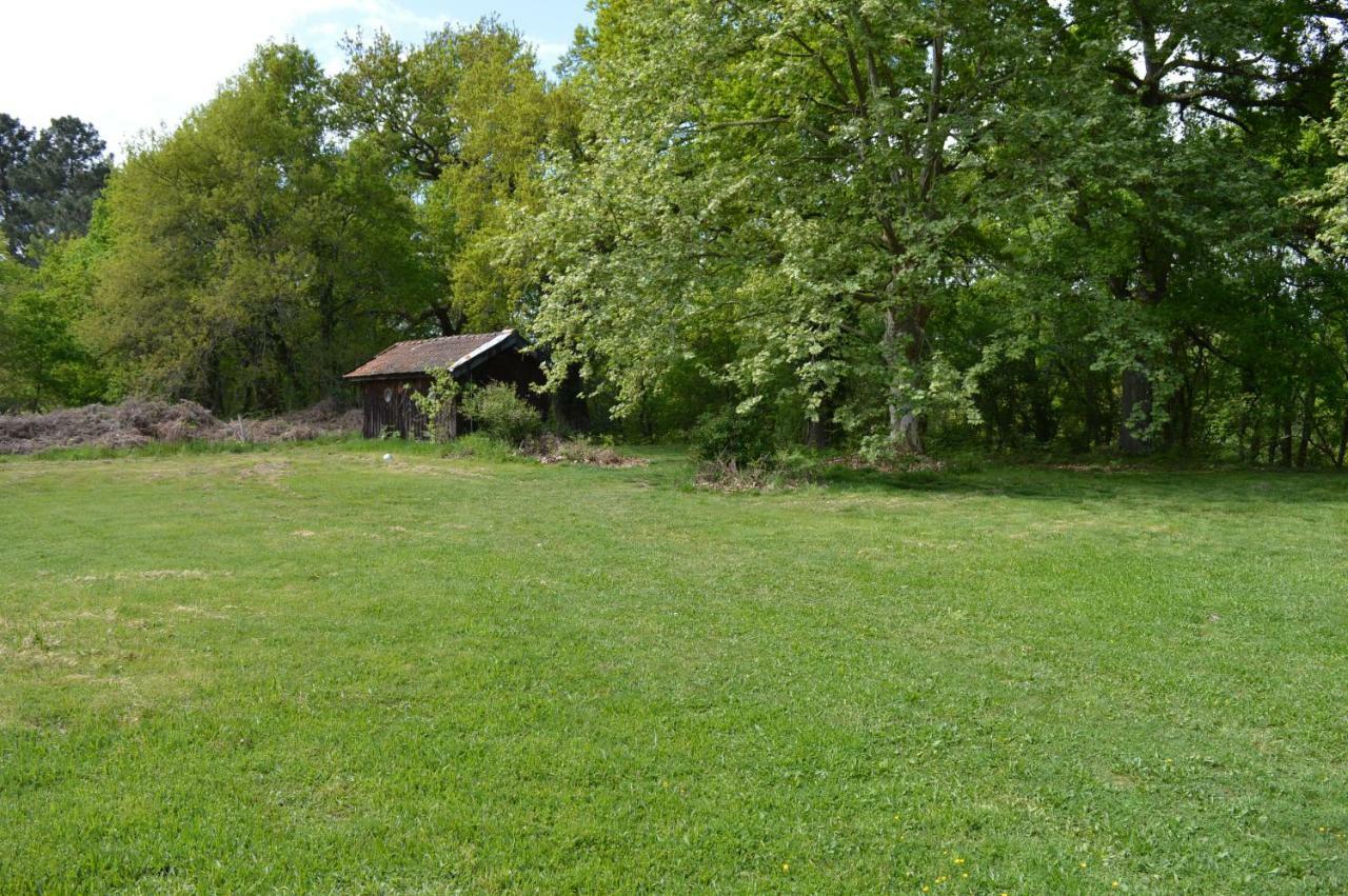 Cabane En Foret Onesse-et-Laharie Exteriér fotografie