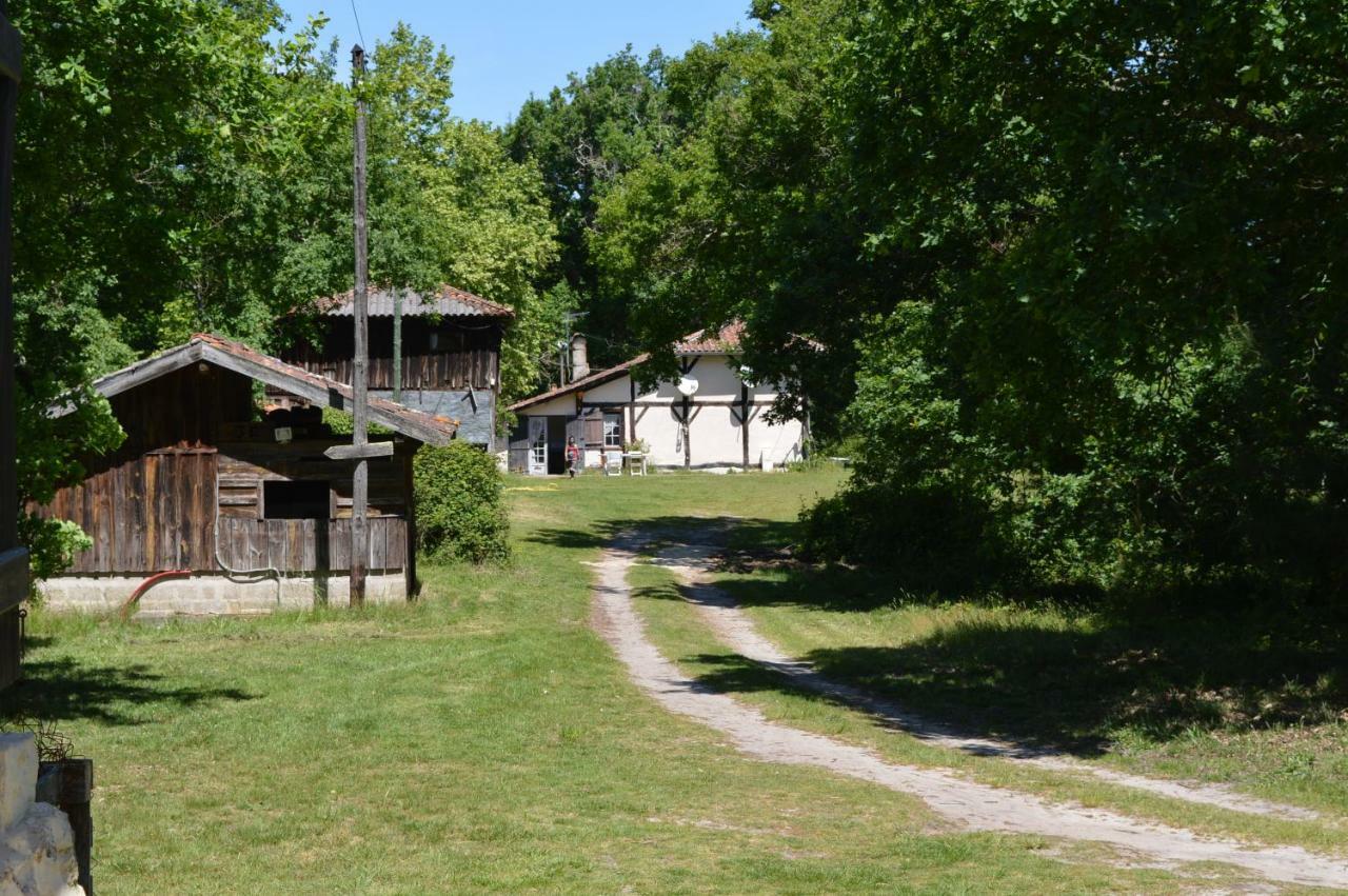 Cabane En Foret Onesse-et-Laharie Exteriér fotografie